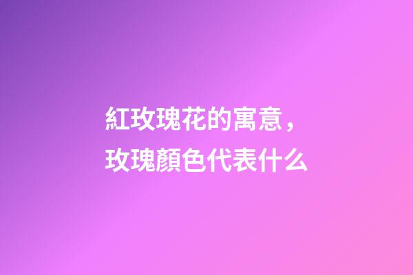 紅玫瑰花的寓意，玫瑰顏色代表什么-第1張-觀點-玄機派