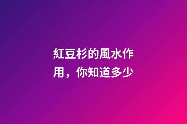 紅豆杉的風水作用，你知道多少