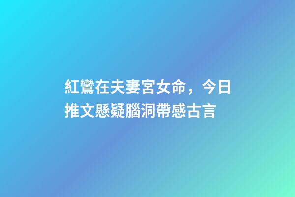 紅鸞在夫妻宮女命，今日推文懸疑腦洞帶感古言-第1張-觀點-玄機派