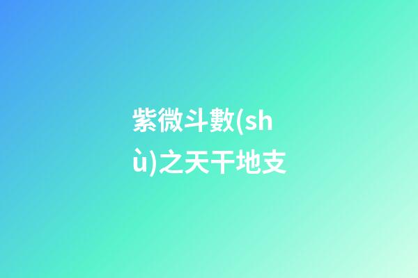 紫微斗數(shù)之天干地支