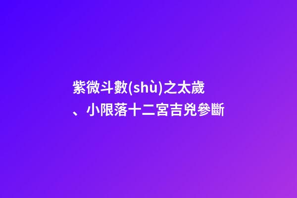 紫微斗數(shù)之太歲、小限落十二宮吉兇參斷