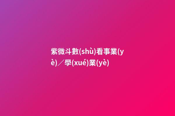 紫微斗數(shù)看事業(yè)／學(xué)業(yè)