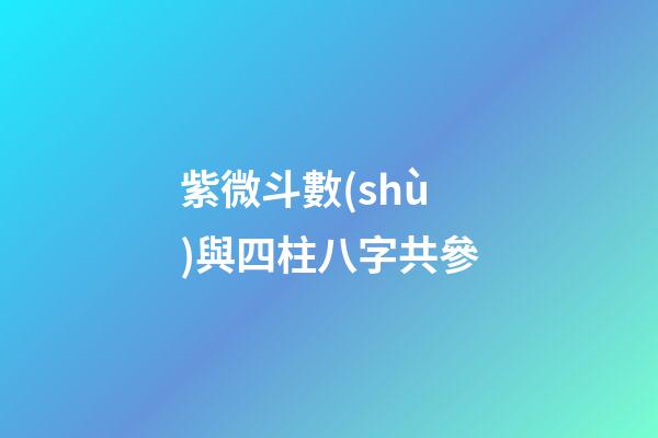 紫微斗數(shù)與四柱八字共參