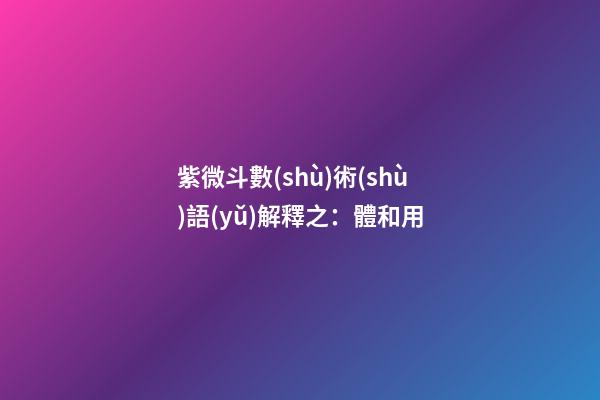 紫微斗數(shù)術(shù)語(yǔ)解釋之：體和用