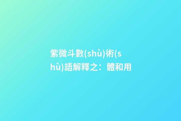 紫微斗數(shù)術(shù)語解釋之：體和用