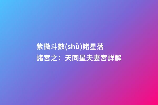 紫微斗數(shù)諸星落諸宮之：天同星夫妻宮詳解