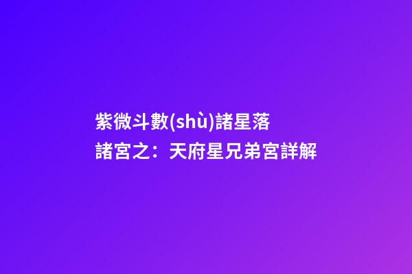 紫微斗數(shù)諸星落諸宮之：天府星兄弟宮詳解