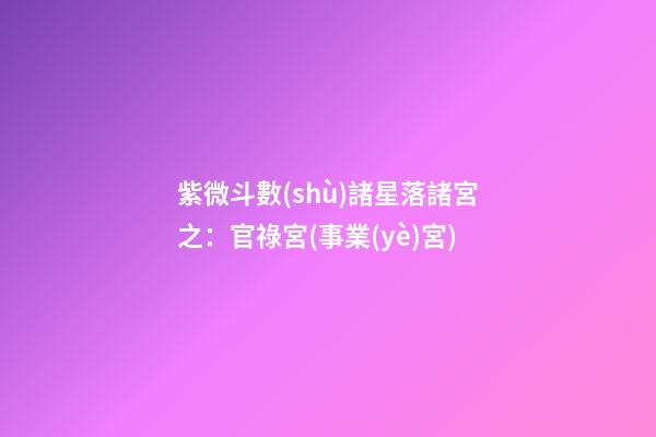 紫微斗數(shù)諸星落諸宮之：官祿宮(事業(yè)宮)