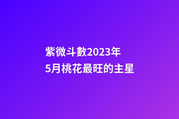 紫微斗數2023年5月桃花最旺的主星