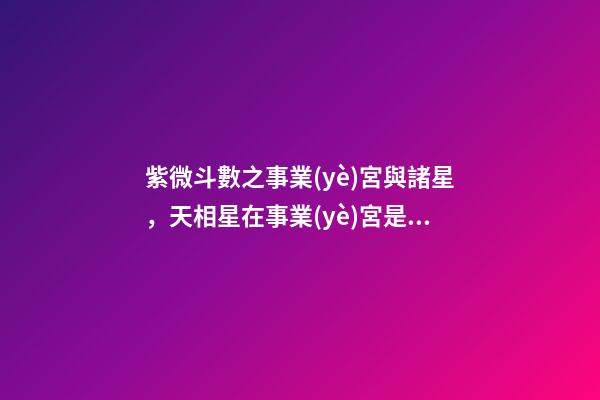 紫微斗數之事業(yè)宮與諸星，天相星在事業(yè)宮是什么意思？