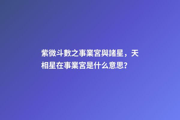 紫微斗數之事業宮與諸星，天相星在事業宮是什么意思？