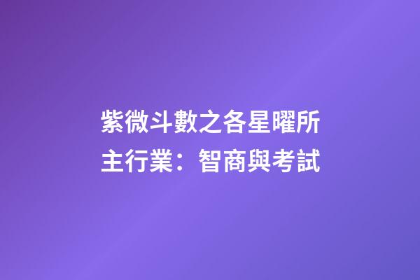 紫微斗數之各星曜所主行業：智商與考試