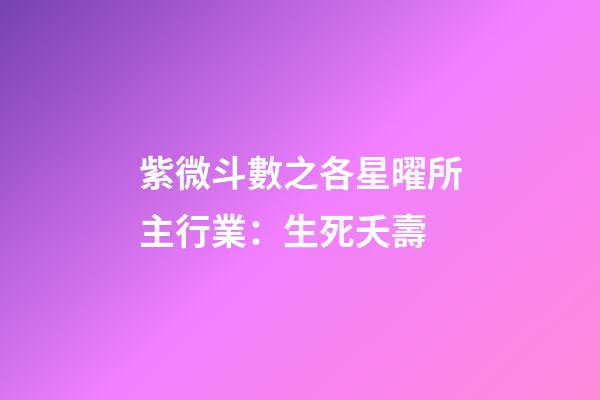 紫微斗數之各星曜所主行業：生死夭壽