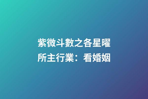 紫微斗數之各星曜所主行業：看婚姻