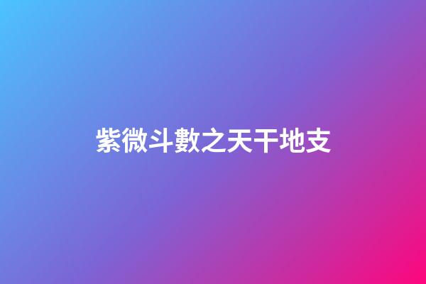 紫微斗數之天干地支