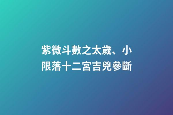 紫微斗數之太歲、小限落十二宮吉兇參斷