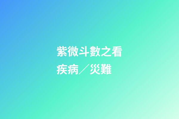 紫微斗數之看疾病／災難