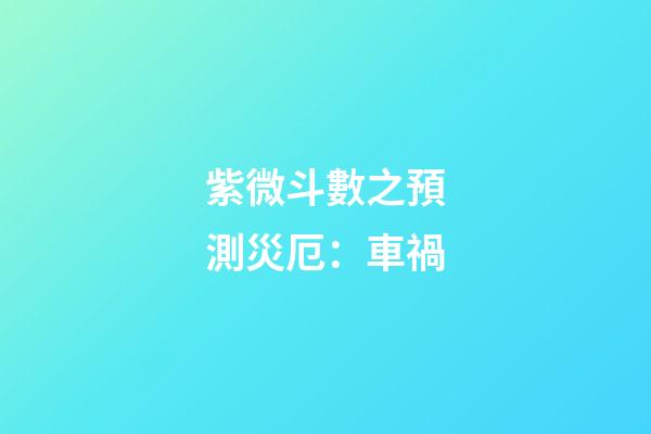 紫微斗數之預測災厄：車禍