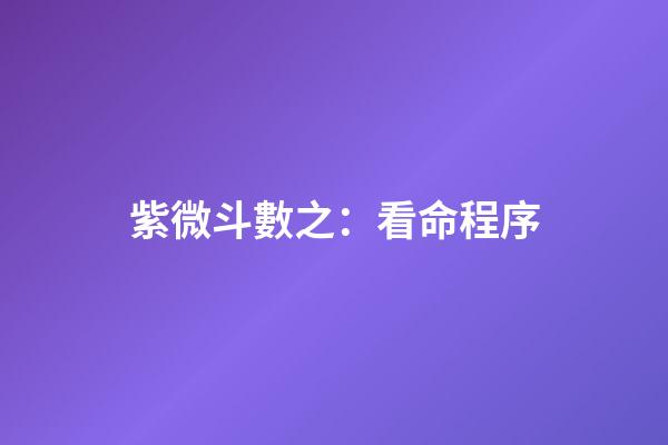紫微斗數之：看命程序
