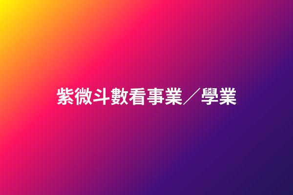 紫微斗數看事業／學業