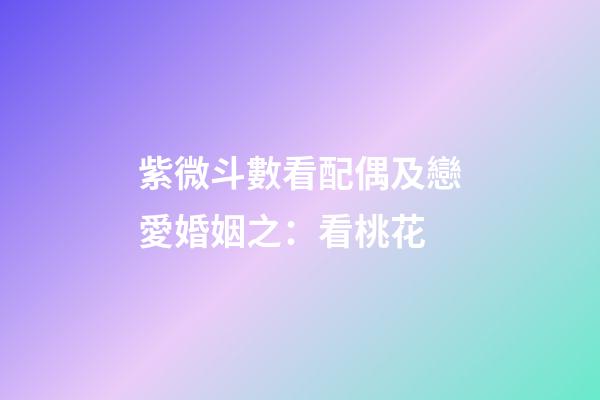 紫微斗數看配偶及戀愛婚姻之：看桃花