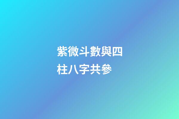 紫微斗數與四柱八字共參