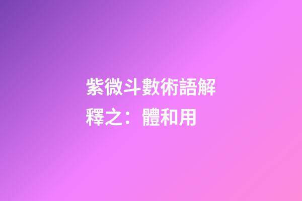 紫微斗數術語解釋之：體和用