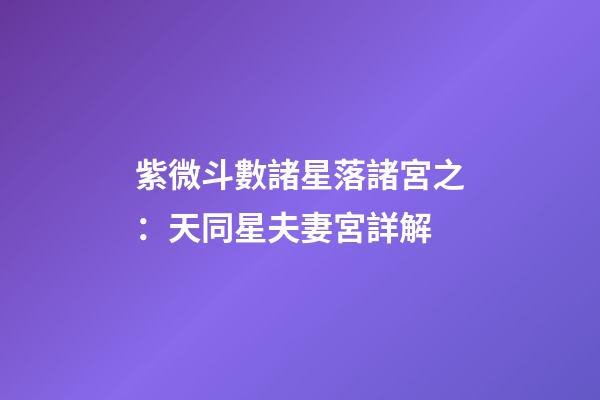 紫微斗數諸星落諸宮之：天同星夫妻宮詳解