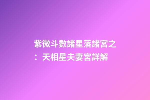 紫微斗數諸星落諸宮之：天相星夫妻宮詳解