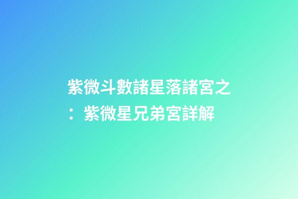 紫微斗數諸星落諸宮之：紫微星兄弟宮詳解