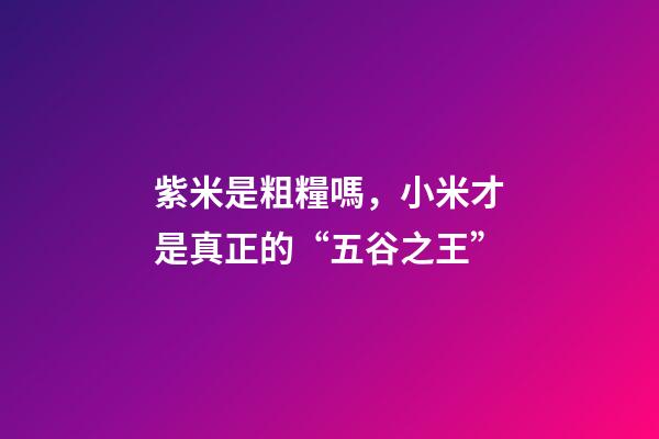 紫米是粗糧嗎，小米才是真正的“五谷之王”-第1張-觀點-玄機派