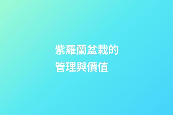 紫羅蘭盆栽的管理與價值