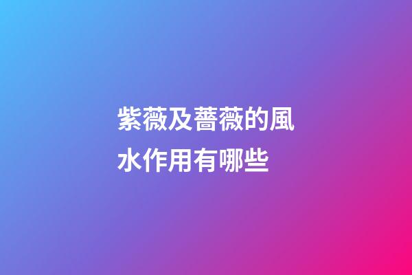 紫薇及薔薇的風水作用有哪些?