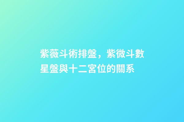紫薇斗術排盤，紫微斗數星盤與十二宮位的關系-第1張-觀點-玄機派