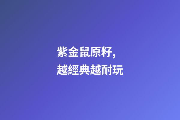 紫金鼠原籽,越經典越耐玩-第1張-觀點-玄機派
