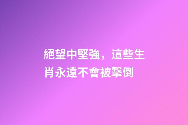 絕望中堅強，這些生肖永遠不會被擊倒