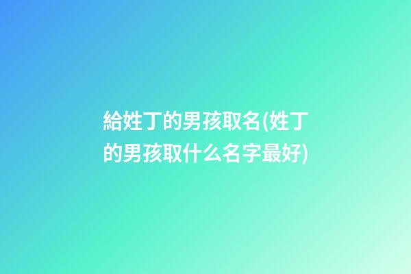 給姓丁的男孩取名(姓丁的男孩取什么名字最好)