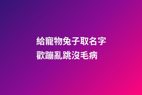 給寵物兔子取名字歡蹦亂跳沒毛病