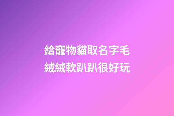 給寵物貓取名字毛絨絨軟趴趴很好玩