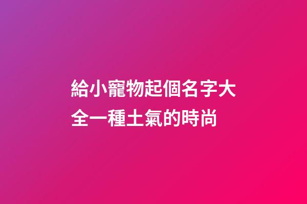 給小寵物起個名字大全一種土氣的時尚
