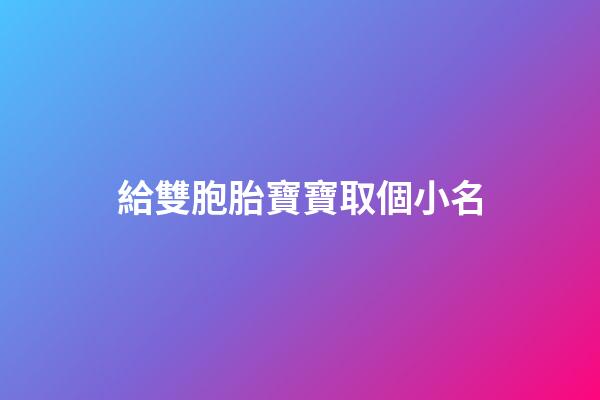 給雙胞胎寶寶取個小名(給雙胞胎寶寶起小名)-第1張-寶寶起名-玄機派
