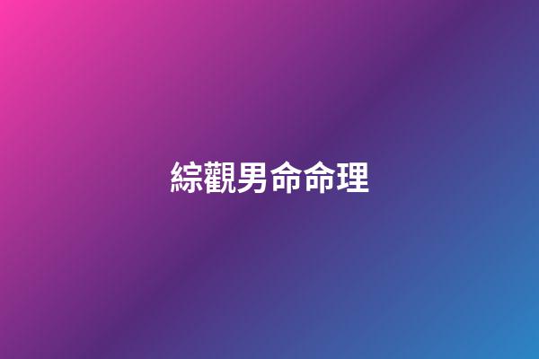 綜觀男命命理