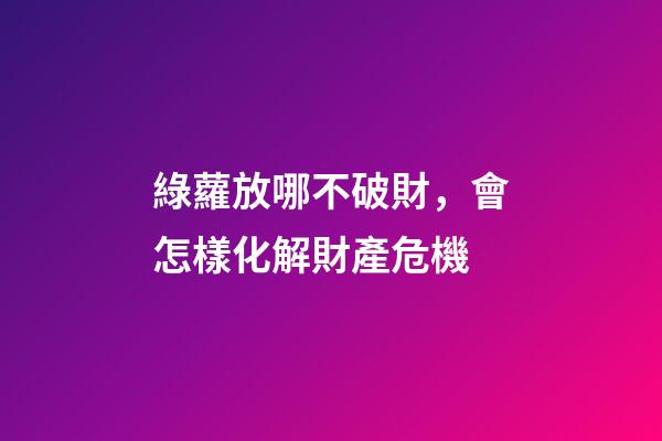 綠蘿放哪不破財，會怎樣化解財產危機