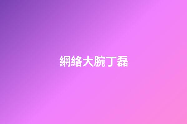 網絡大腕丁磊