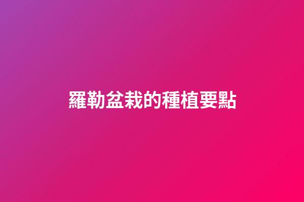 羅勒盆栽的種植要點
