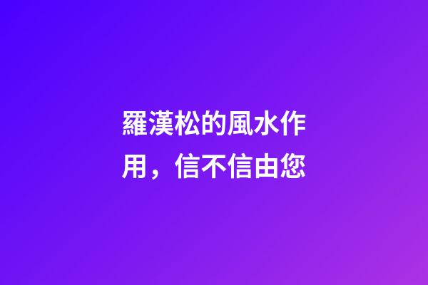 羅漢松的風水作用，信不信由您