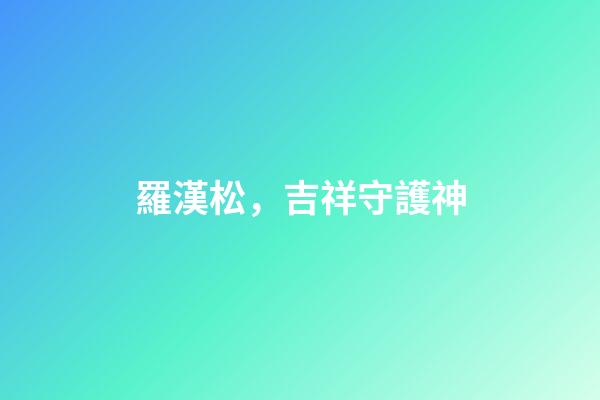 羅漢松，吉祥守護神