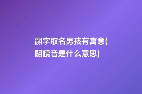 翮字取名男孩有寓意(翮讀音是什么意思)