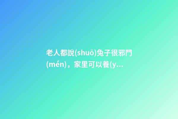 老人都說(shuō)兔子很邪門(mén)，家里可以養(yǎng)兔子嗎