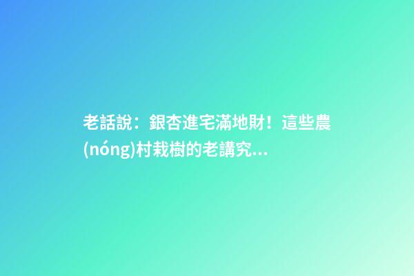 老話說：銀杏進宅滿地財！這些農(nóng)村栽樹的老講究，你記得幾個？